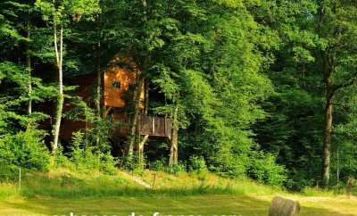 Cabane La Ruche – Le Chêne Perché