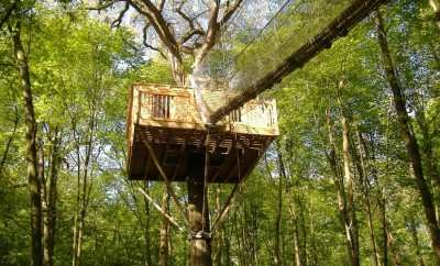 Cabane Sous Bois – Le Chêne Perché