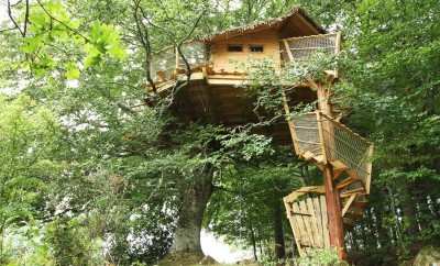 Cabane Migrateur – Voler Avec les Oiseaux