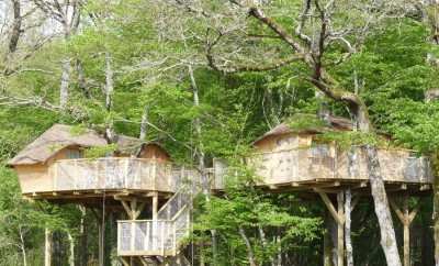 Cabane dans les arbres 4 personnes – Défiplanet’