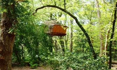 Cabane dans les arbres Jonquille – Cabanes de Kermenguy