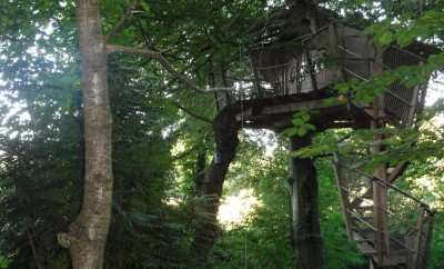 cabane GUNNERA – Cabanes du Jardin de Pierre