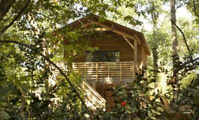 Ecolodge L’ornitho – Ecolodges de Loire