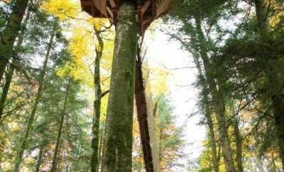 Cabane la Fauconnière – Domaine de Syam