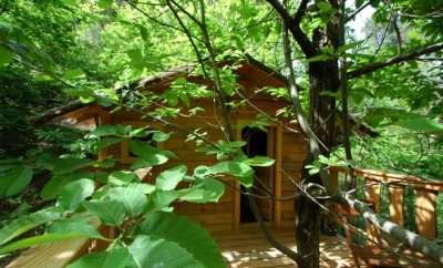 Cévennes Insolites: La Cabane de Peyrolles