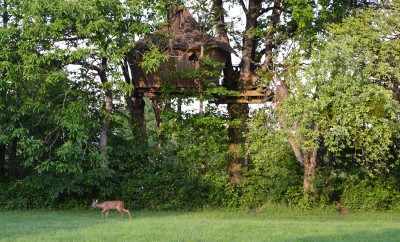 Cabane Des Cartes