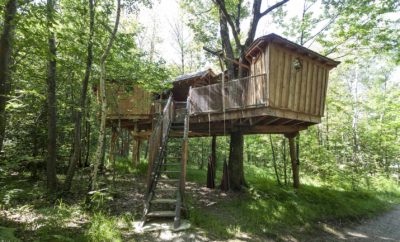 Cabane la Pistache – Les Cabanes de Fontfroide