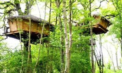 Cabane Le Baron Perché