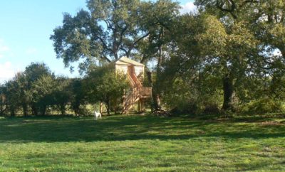 Cabane des Elfes – Les Robinsonades