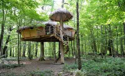 Cabane Robin des Bois