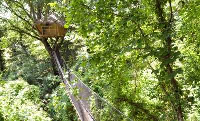 Cabane Le Vieux Chêne