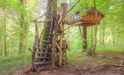 Cabane Dream – L’Arbre à Cabane