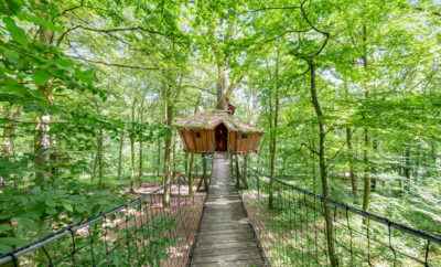 Cabane el Sueño – L’Arbre à Cabane