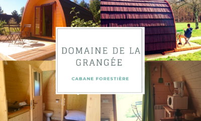 Cabane Forestière