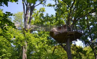 Cabane Guadeloupe