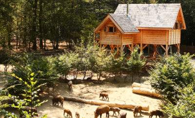 Cabane des Sangliers