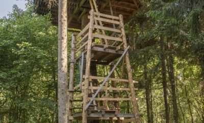 Cabane du Barde – Cabanes des Combrailles