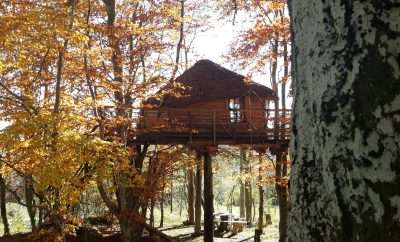 La cabane des fayards