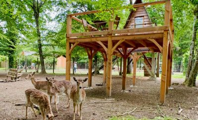 Cabane des Cerfs