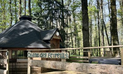 Cabane des écureuils