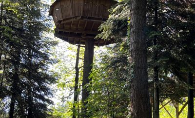 Cabane Ecureuil – Les Cabanes de Labrousse