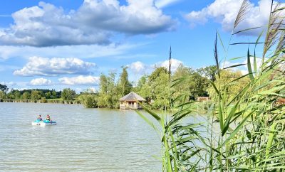 Cabane Ruche